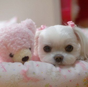 Викуська Кондратенко | Киев