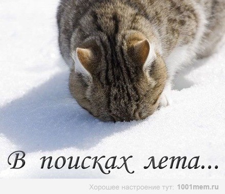 №39, Xristina Dimitrova, 52 года, Асеновград №39, Xristina Dimitrova, 52 года, Асеновград