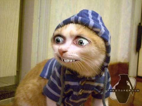 №174, Светлана Шевырева, Донецк №174, Светлана Шевырева, Донецк