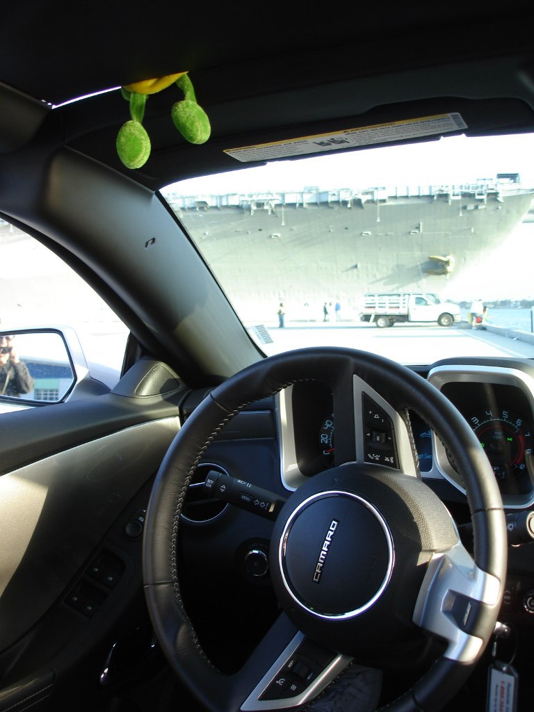 Лягуха Зырящая | Санкт-Петербург