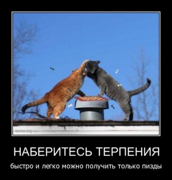 Никита Ольгин | 