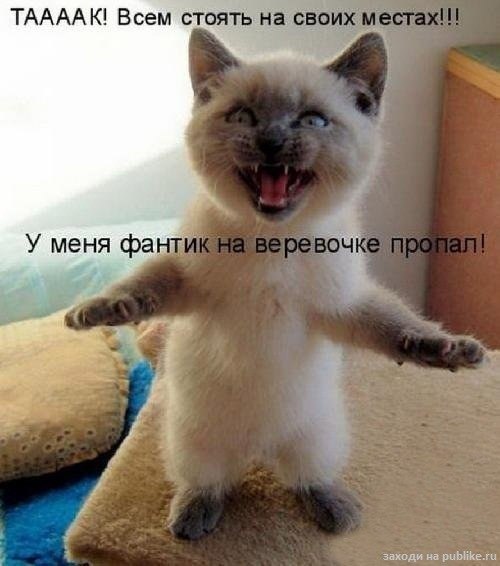 Ekaterina Yakovleva ~KOSHECHKA~ | Санкт-Петербург