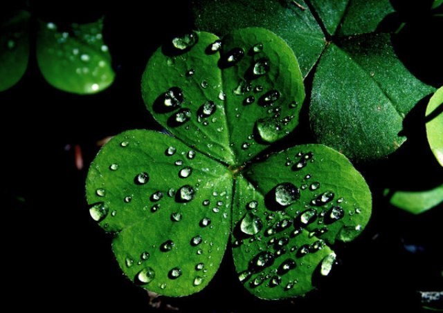 Татьяна Силакова 