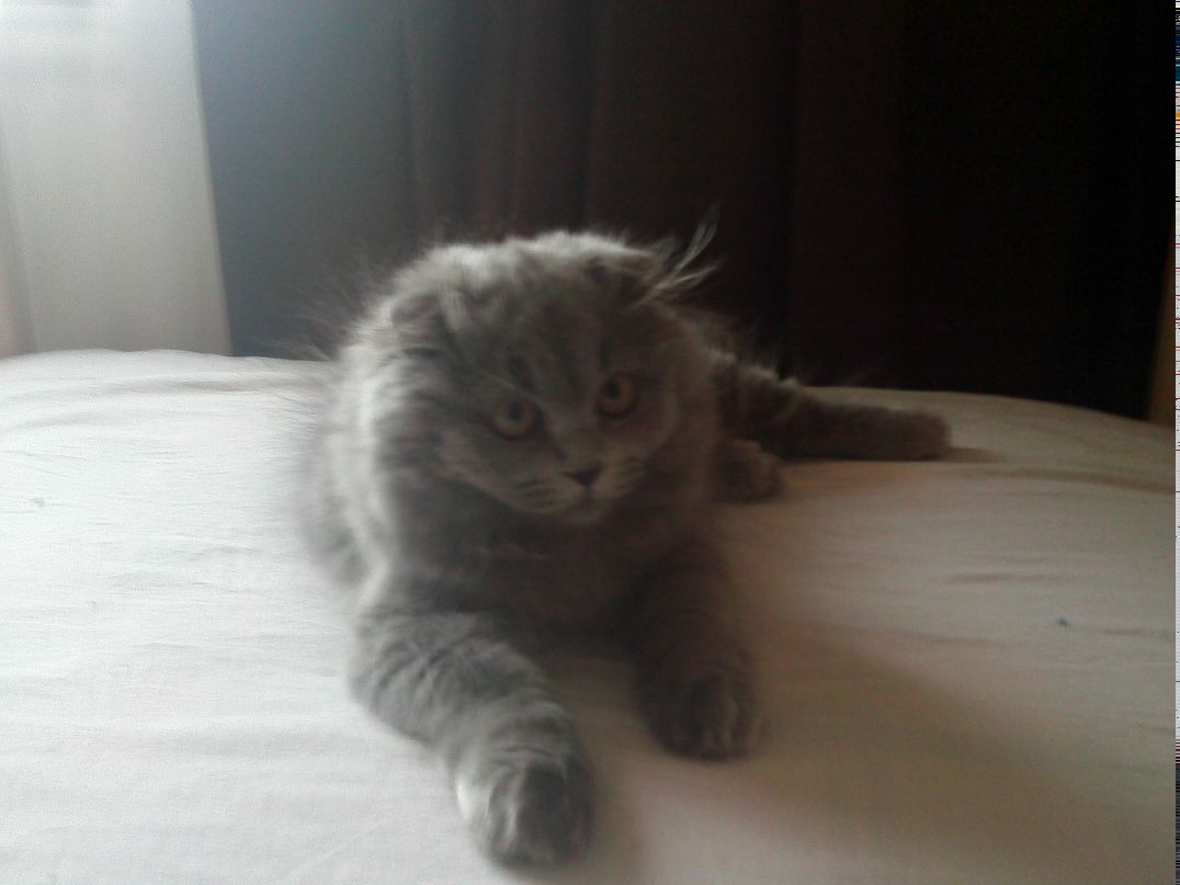 Ирина Коленко | Санкт-Петербург