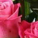 Альбина Гильманова | Уфа