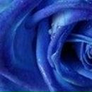 Альбина Гильманова | Уфа