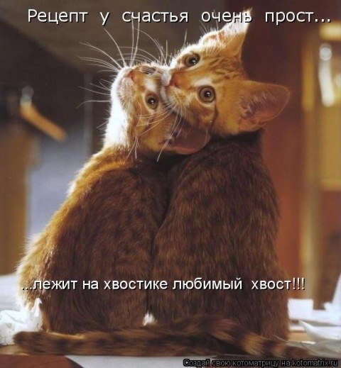 Викуля Фролова 