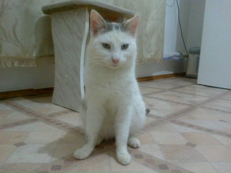 Дана Усаева | Элиста