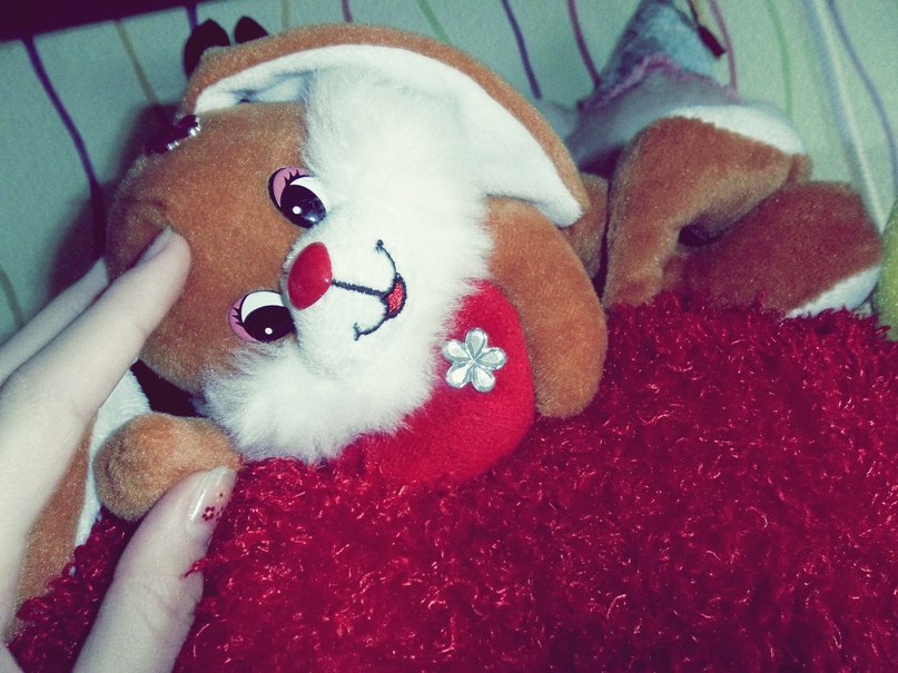 Светлана Сниткова | Красноярск