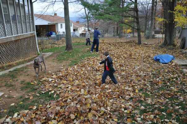 №7, Aleksandr Davidov №7, Aleksandr Davidov