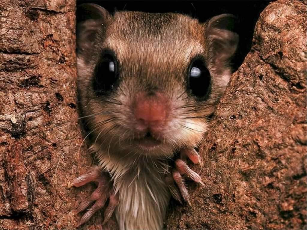 Соня Карпина | Санкт-Петербург