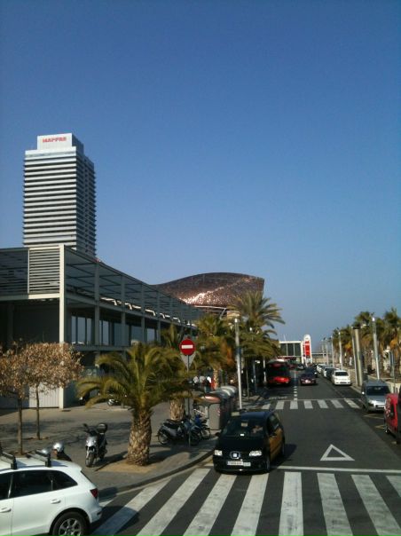 №5, Анна Жмычкова, Санкт-Петербург №5, Анна Жмычкова, Санкт-Петербург