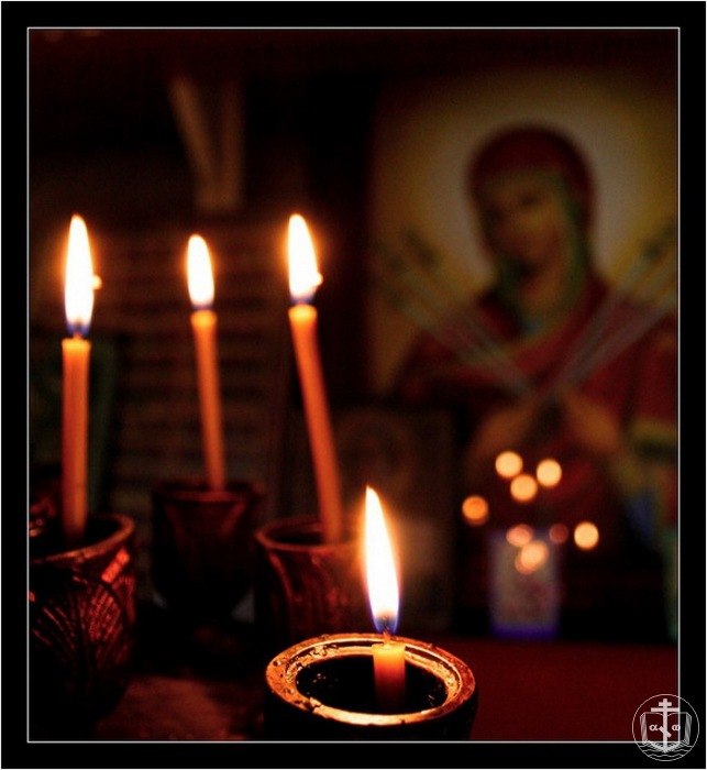 Елизавета Чижова | Milano