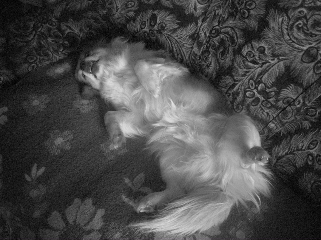 Анастасия Костенко | Октябрьский