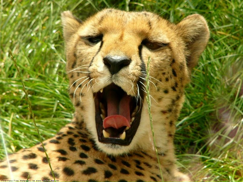 Иван Мармылев | Старый Оскол