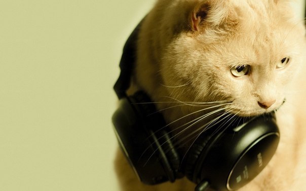 Антон Яцковский DJ MALIK | Могилёв