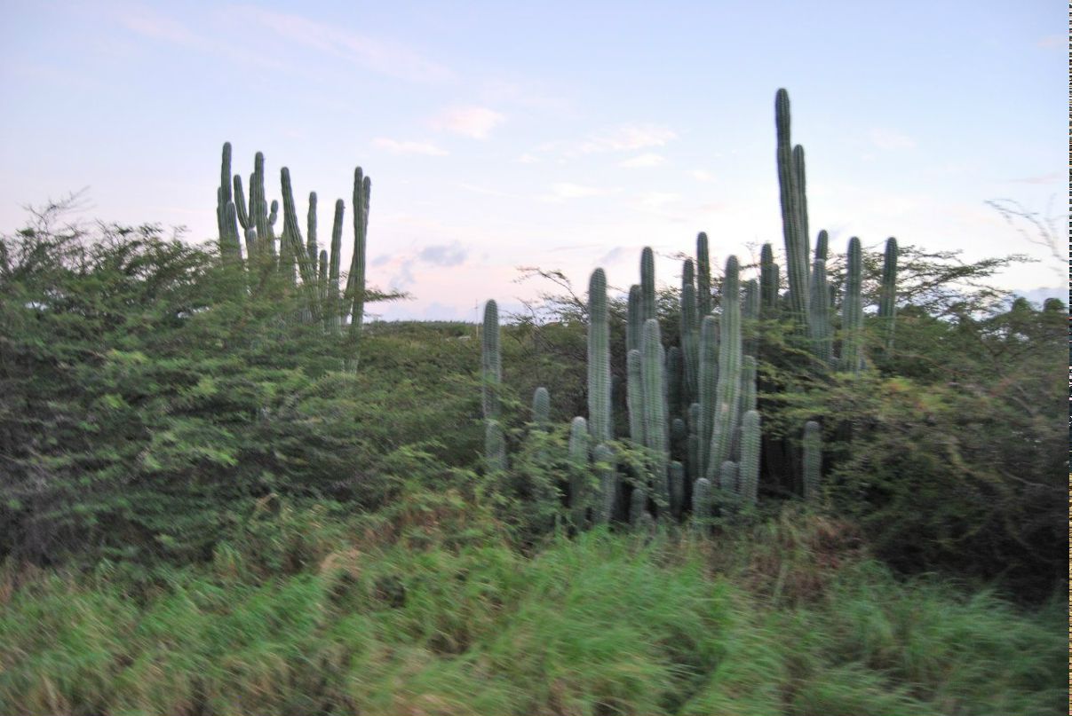 Людмила Перепелица | Одесса
