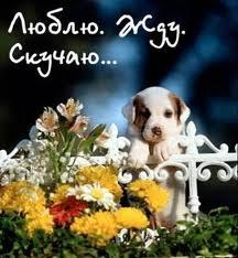 Дмитрий Оголюк | Одесса