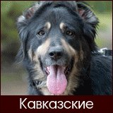 Эмилия Мокрицкая | Тула