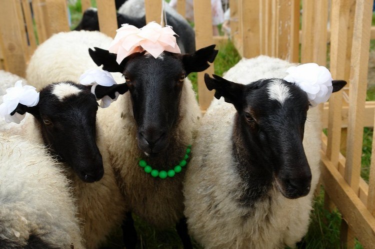 Андрей Мотов | 