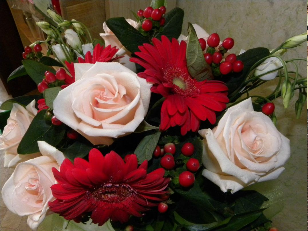 Алёна Провоторова | Москва