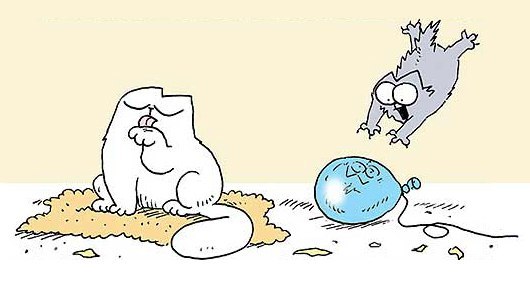 Валерия Семынина | Ростов-на-Дону