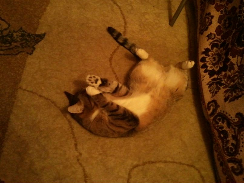 Михаил Корольков | Серпухов