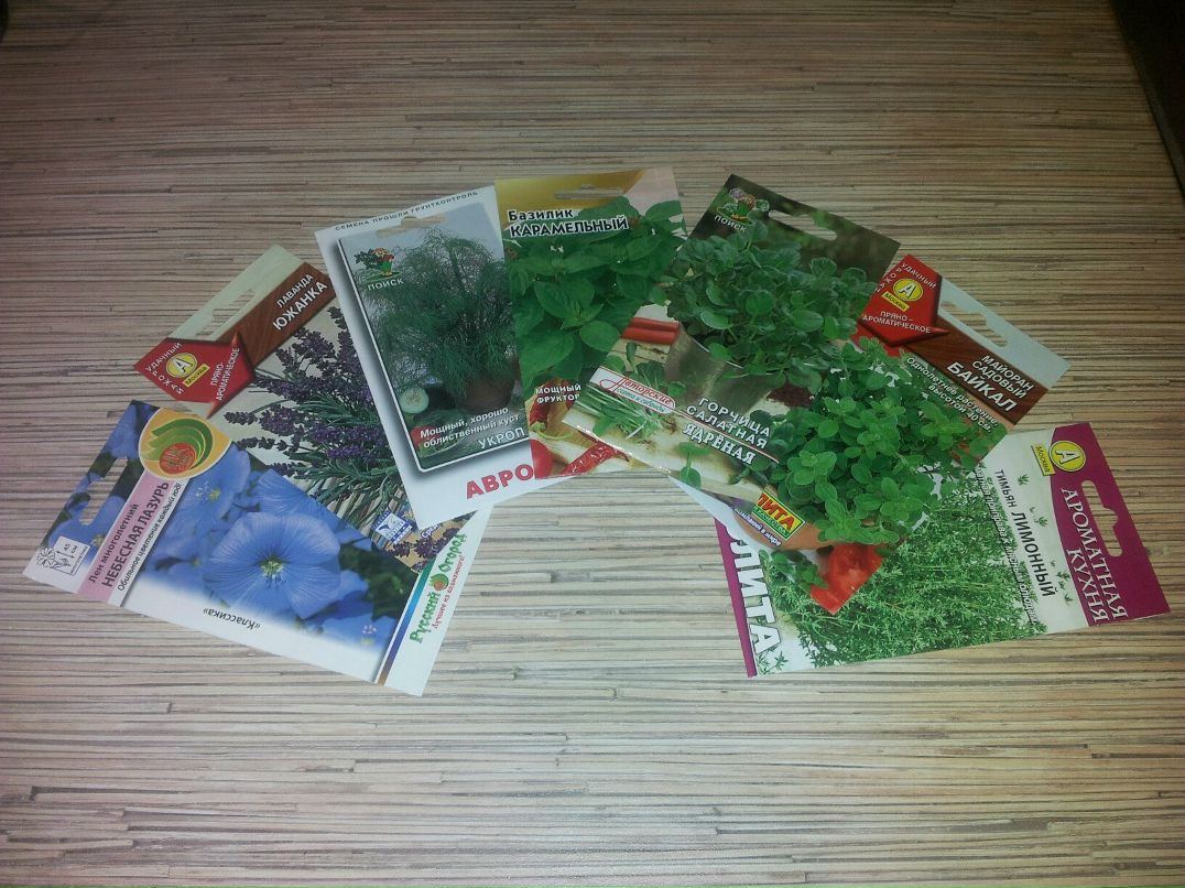 Ирина Ильина | Москва