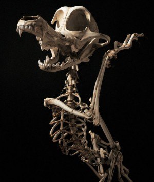 Миша Юсупов | Самара