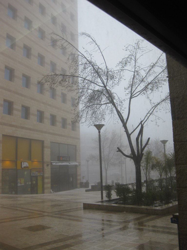 Лев Рохман | Ma'ale Adumim