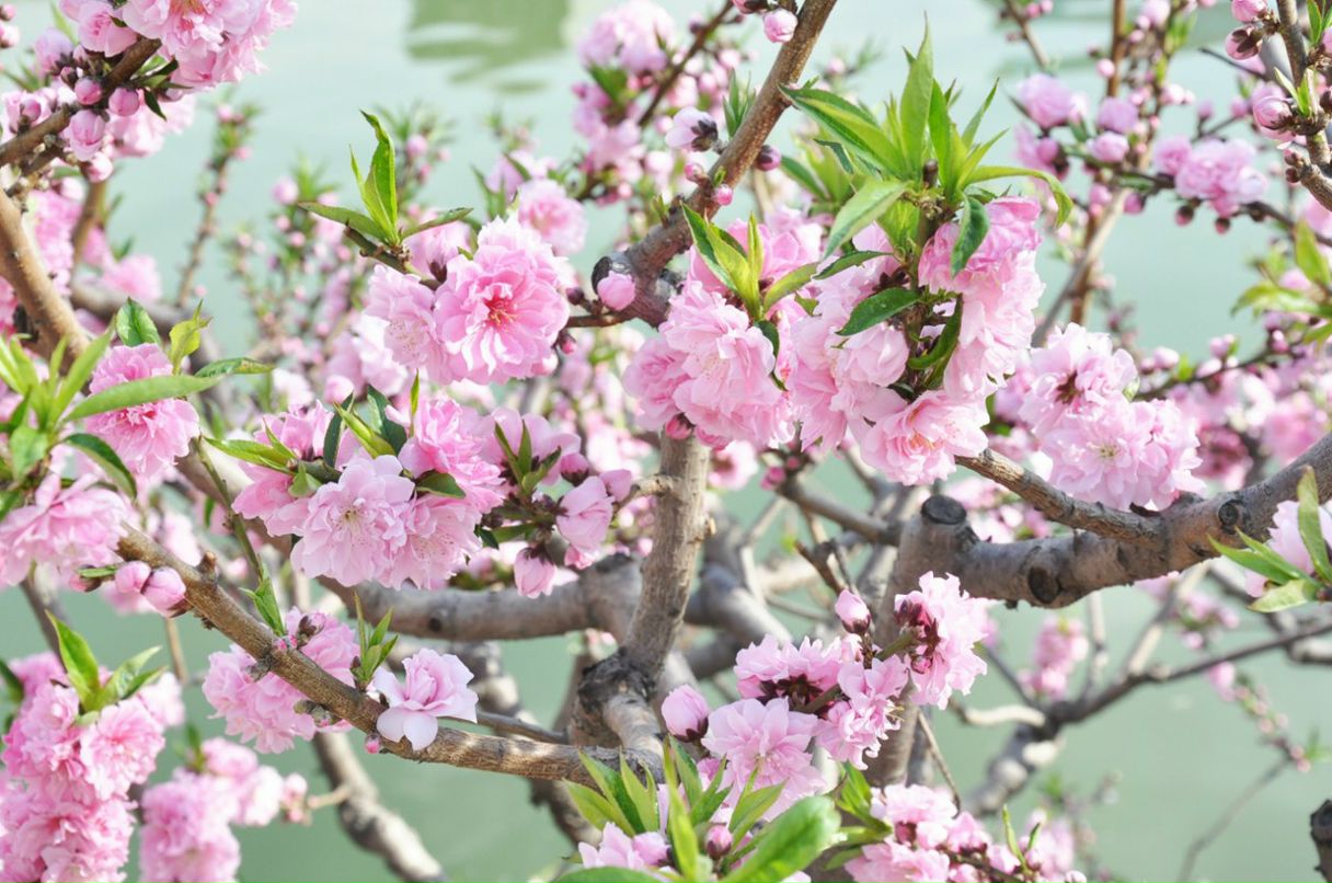 Ирочка Самойленко | Киев