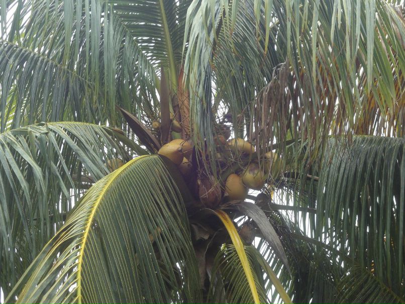 Рома Дашкевич | Мурманск