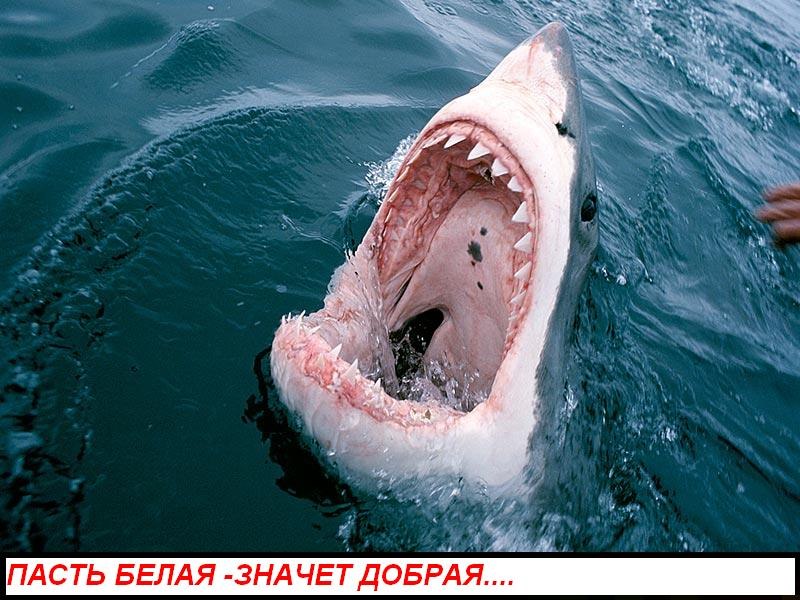 Серёга Ткаченко ¤DJ_V.I.W.¤ ® | Севастополь