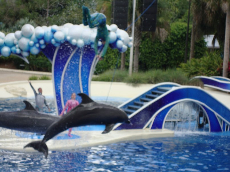 Maryna Marchenko | Киев