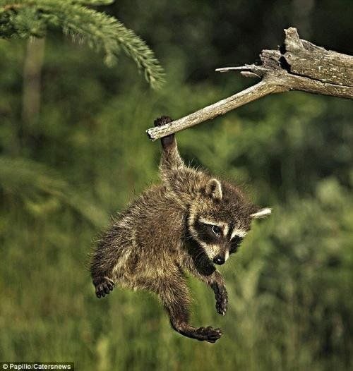 Ленар Сафин | Казань