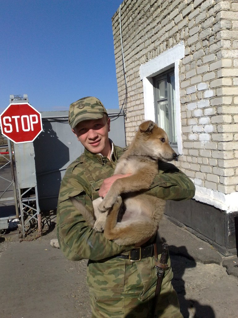 Павел Брюхов | Елово