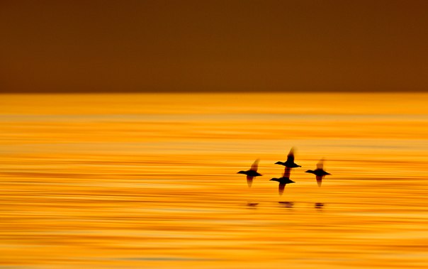 №127, Татьяна Чучкалова, Москва №127, Татьяна Чучкалова, Москва