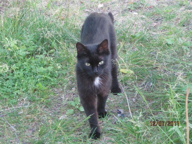 Наталья Петрова | Апатиты