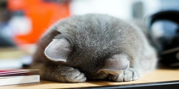 Дмитрий Слободенюк | Кременчуг