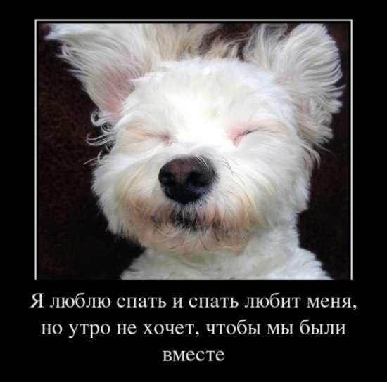 Вика Криштальова | Черкассы