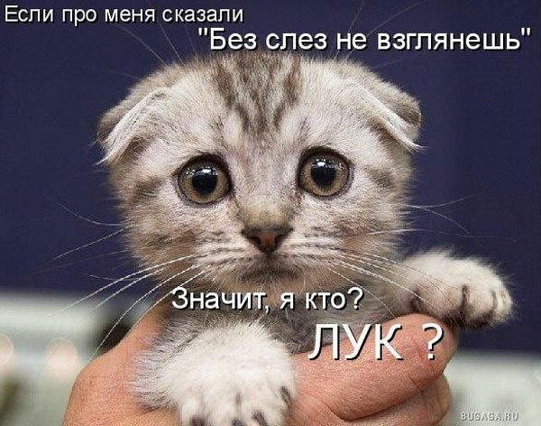 Алла Павловская | Санкт-Петербург