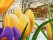 Нина Кудаева | Саранск