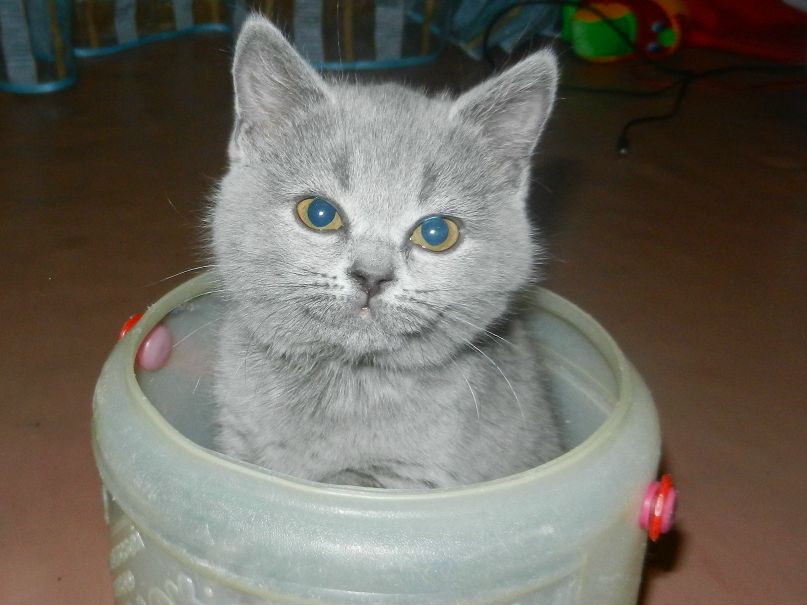 Елена Андрушкевич | Усинск