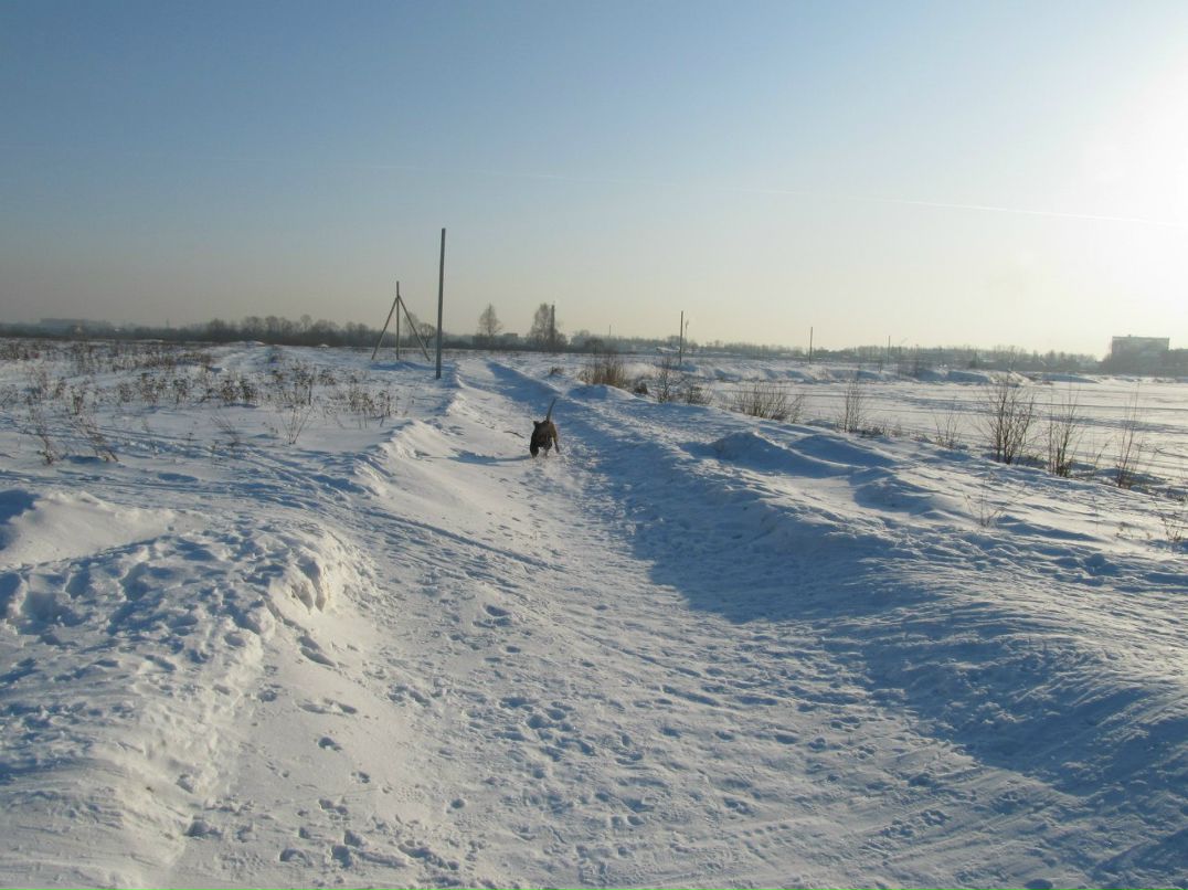 Света Шустикова | Йошкар-Ола