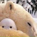 Руслана Черепнина | Киев