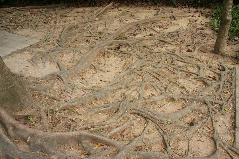 Екатерина Кузнецова Владимировна | Москва