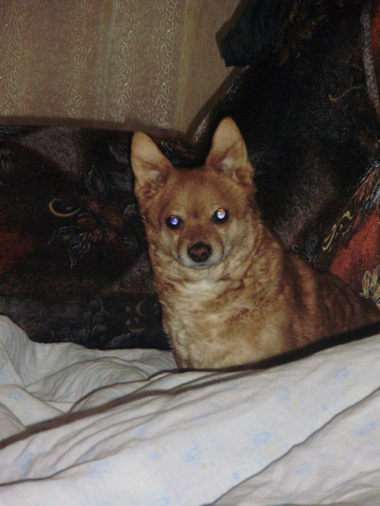 Олька Михайлова | Новокузнецк