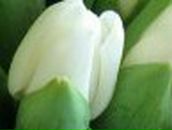 Кристина Петраш | Запорожье