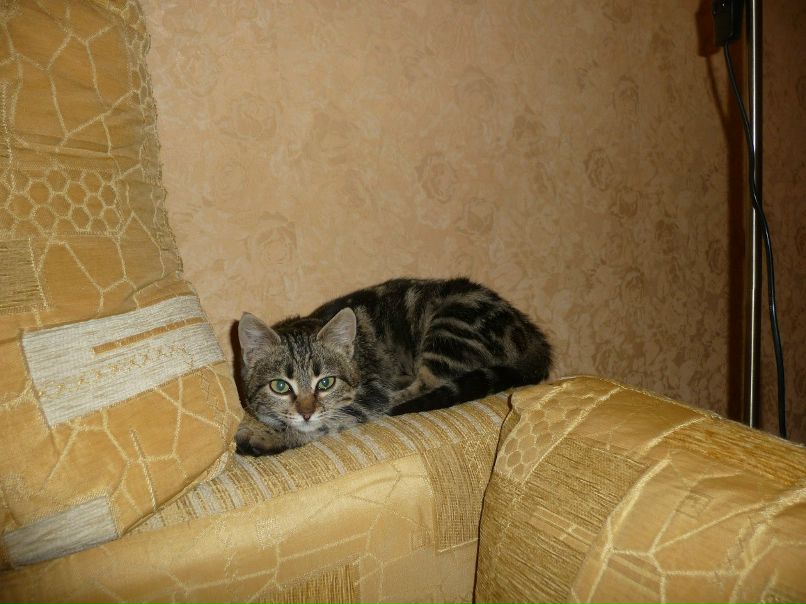 Руслана Богданова | Ростов-на-Дону