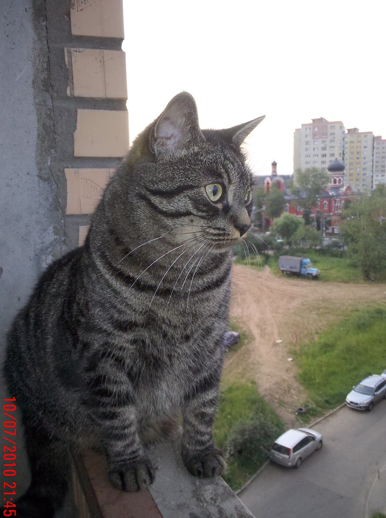 Наталья Гиронак | Санкт-Петербург